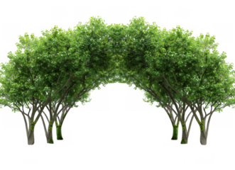 Scenic View of Lush Green Park