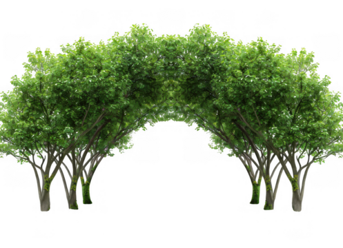 Scenic View of Lush Green Park