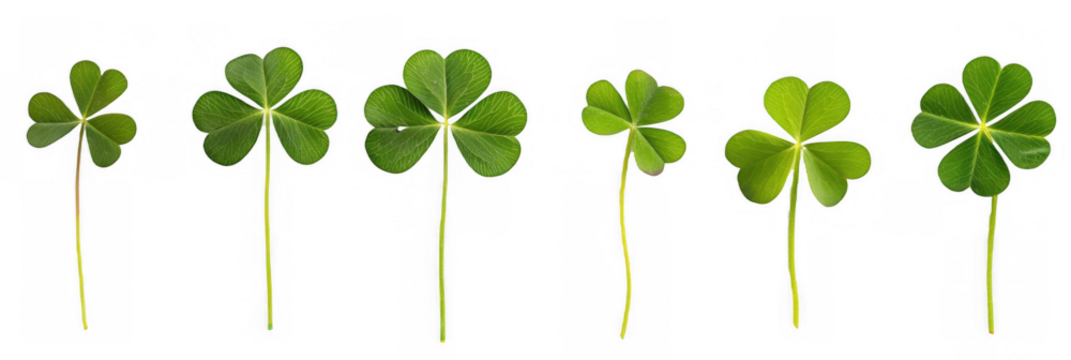 Row of Green Clover Leaves