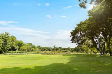 Scenic view of the park with green grass field in city and a cloudy blue sky background. Beautiful green park