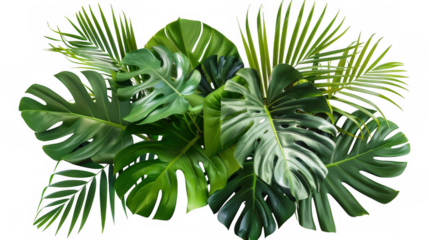 Horizontal Green Foliage Arrangement