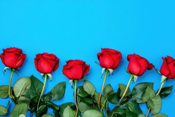 Vibrant Red Roses on Vivid Blue Background