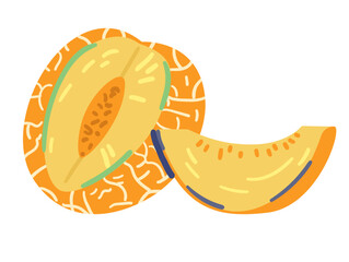 Melon and slice of melon doodle vector illustration isolated on white.