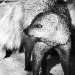 Florilège de voyage