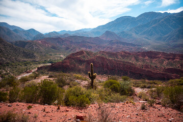 Fotos de la Cuesta de Miranda, en la provincia de La Rioja sobre la Ruta 40 en Argentina. Cactus,...