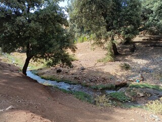 Ben Smim, Morocco - August 06 08, 2024: A forest trip in the Middle Atlas Mountains of Morocco,...