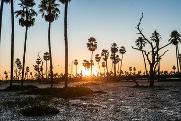 Atardecer increíble en el Bañado La Estrella, Formosa, Argentina. Su flora y su fauna en estado...