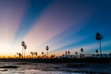Atardecer increíble en el Bañado La Estrella, Formosa, Argentina. Su flora y su fauna en estado...