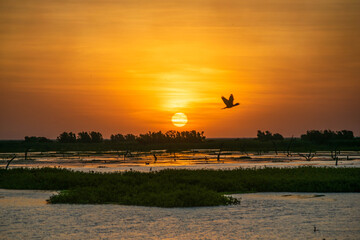 Atardecer increíble en el Bañado La Estrella, Formosa, Argentina. Su flora y su fauna en estado...