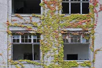 Fabrikruine in Bad Oeynhausen