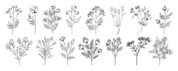 A large set of autumn summer spring plants flowers with leaves and buds drawn by hand with one line. Flat doodle style. Vector illustration.
