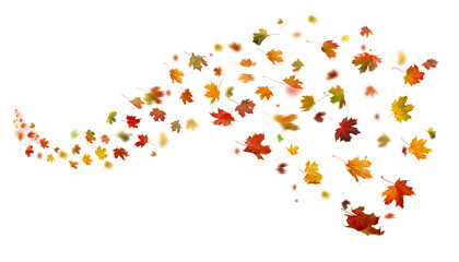  Autumn leaves swirl in the wind. Fall leaves cutouts