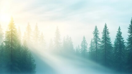 Sunlight beams through misty forest, creating a serene landscape.