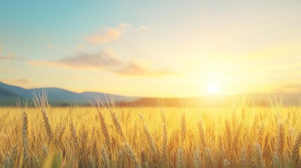 Naklejka premium Golden wheat stalks swaying in a field at sunset.