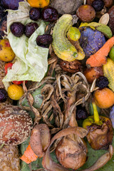 Household food waste for fruit and vegetable compost. Compost pile of vegetables and fruits.