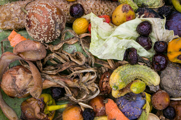 Household food waste for fruit and vegetable compost. Compost pile of vegetables and fruits.