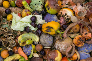 Household food waste for fruit and vegetable compost. Compost pile of vegetables and fruits.