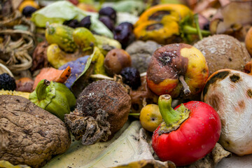 Household food waste for fruit and vegetable compost. Compost pile of vegetables and fruits.