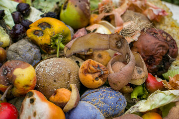 Household food waste for fruit and vegetable compost. Compost pile of vegetables and fruits.
