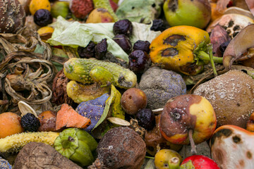 Household food waste for fruit and vegetable compost. Compost pile of vegetables and fruits.