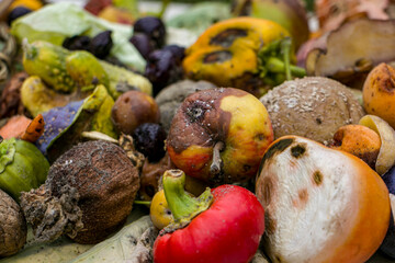 Household food waste for fruit and vegetable compost. Compost pile of vegetables and fruits.