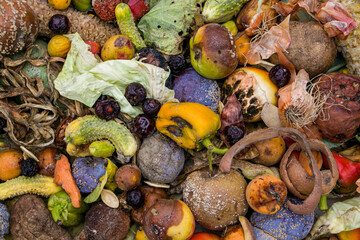 Household food waste for fruit and vegetable compost. Compost pile of vegetables and fruits.