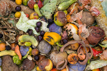 Household food waste for fruit and vegetable compost. Compost pile of vegetables and fruits.