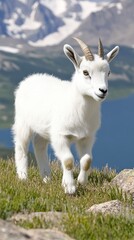 Fototapeta premium A mountain goat poses gracefully by Lake, surrounded by rocky mountains and vibrant green meadows under a clear blue sky
