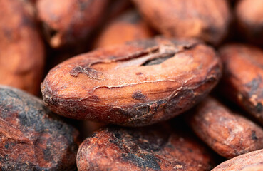 Cocoa beans grain texture . Ingredient for preparating chocolate