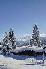 Obraz premium Kaiserwetter bei der Winkelmoosalm 5