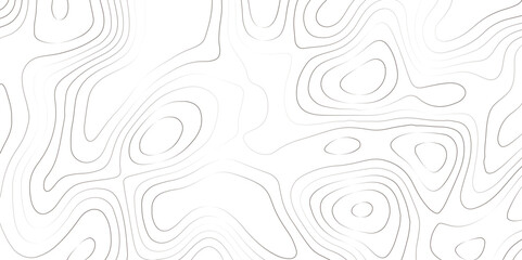 White fresh topography topology vector map contour abstract background wallpaper 