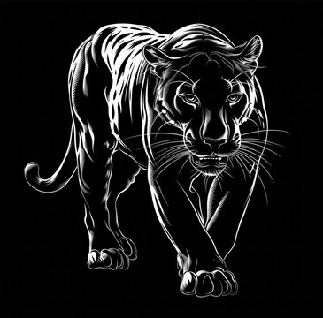 recommend clip art: Black Panther Silhouette: A Powerful and Majestic Animal