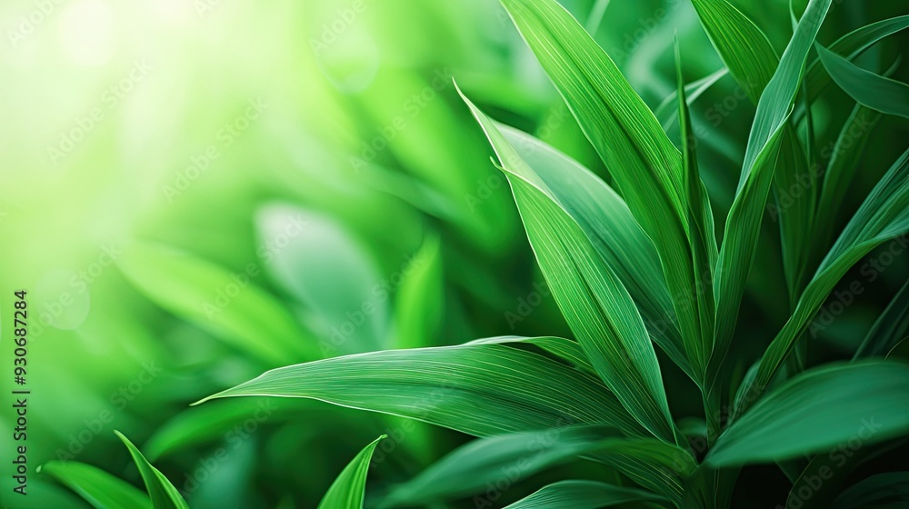 Poster a close-up image of vibrant green leaves illuminated by soft light, creating a serene and fresh atmo