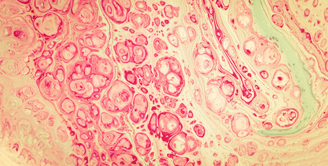 Fluid Finesse: Unveiling the Intricate Allure of Liquid Art in Oil Paintings
