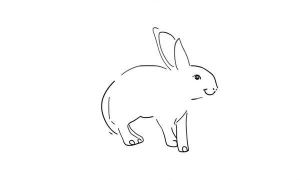 Line Drawing of a Rabbit