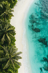 Aerial view of the tropical sandy beach and crystal clear turquoise ocean, with lush greenery and palm trees © Myroslava