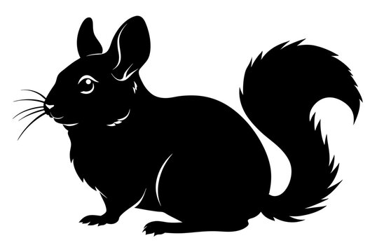 Beautiful Chinchilla Silhouette Black Vector Art Illustration 