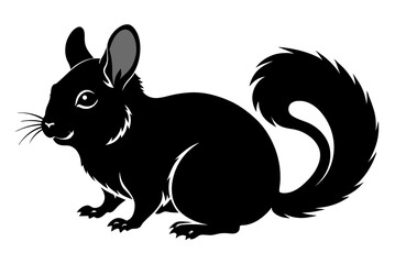 Beautiful chinchilla silhouette black vector art illustration 