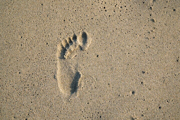 Footprint of a child's foot in the sand