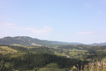 Obraz premium Picturesque view of forest in mountains under blue sky