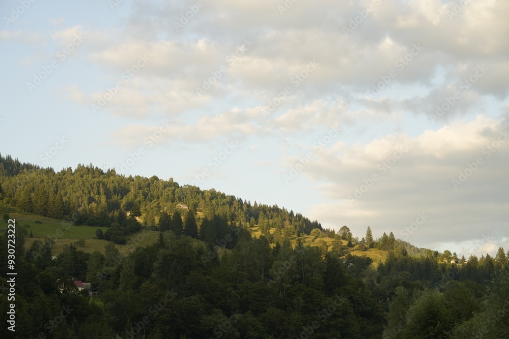 Sticker picturesque view of forest in mountains under sky