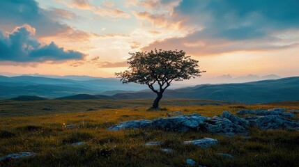 Obraz premium A solitary tree in a clean landscape, surrounded by an empty sky. The scene is minimalist, emphasizing simplicity and tranquility, highlighting the loneliness of the tree in nature.