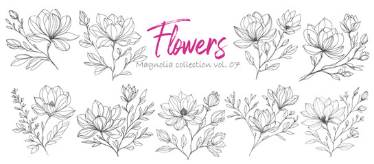 Set of hand drawn magnolia flowers. Floral design elements.
