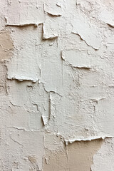 Obraz premium Plain White and Gray Watercolor Paper