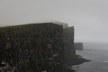 Tetravik near Látrabjarg, Iceland, Westfjords