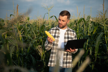 A young agronomist inspects the quality of the corn crop on agricultural land. Farmer in a corn...