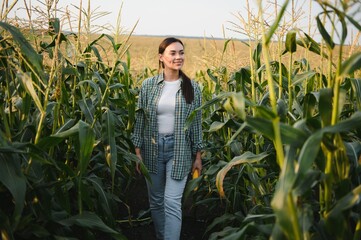 Agronomist farmer woman in corn field. female farm worker analyzing crop development