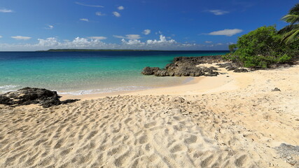 Beach sector between the rainforest and the reef lagoon, north side of the old concrete berth on the west shore of Cayo Saetia Cay. Mayari-Cuba-621