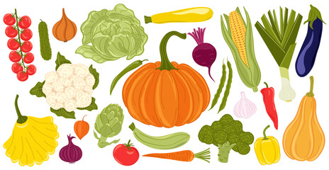  Large set of hand drawn vector illustrations of vegetables on white background. Seasonal healthy food. Farm harvest, organic plants