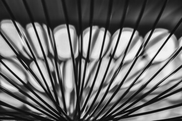 Close-up macro of a thin wire backlit in black and white abstraction macrophotography